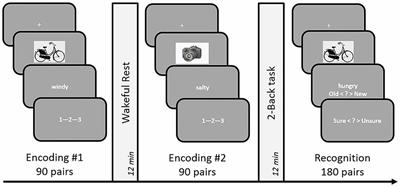 Non-Interfering Effects of Active Post-Encoding Tasks on Episodic Memory Consolidation in Humans